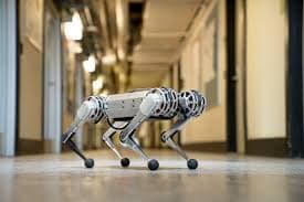Quadruped Robots